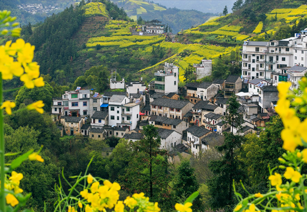 【江西旅游高鐵純玩五日】婺源深度攝影+全程純玩0購物+旅程更舒適