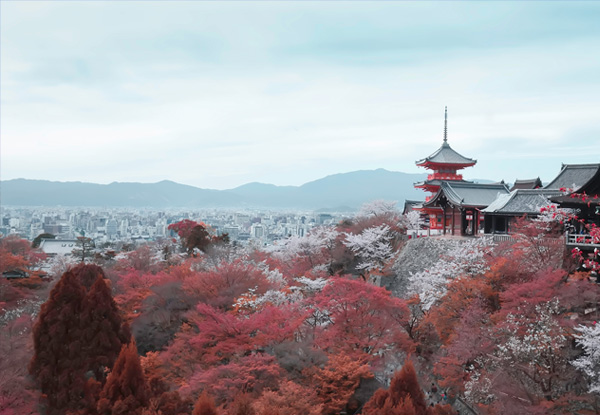 【日本旅游本州深度六日】大阪+奈良+惠那峽+富士山+東京