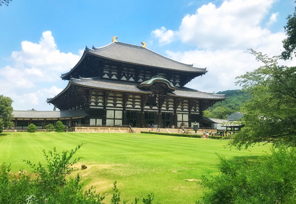 【私人定制：尊尚關(guān)西六天五晚輕奢之旅】高野山寺院+吉野山賞櫻+奈良公園