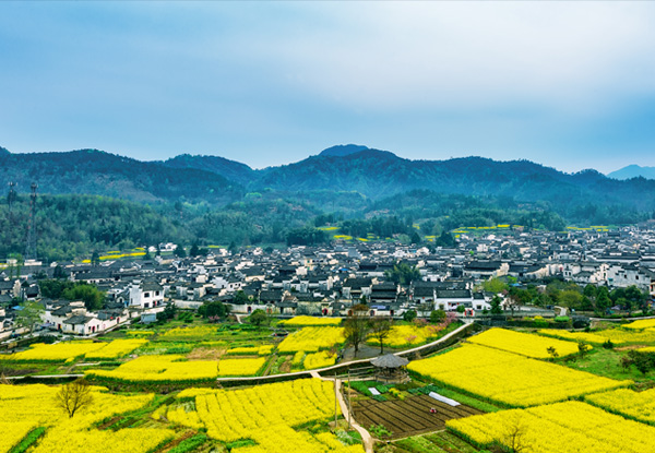 【安徽旅游雙飛四天】神奇黃山+秀水千島湖+唐模古鎮(zhèn)+西溪南+宋代老街