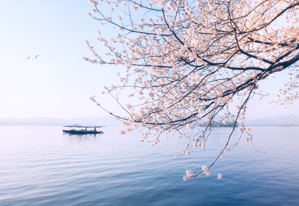 【華東旅游雙飛五日游】南潯+烏鎮(zhèn)+耦園+ 瘦西湖+體驗“皮包水”文化